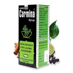 Carmina 450ml Syrup